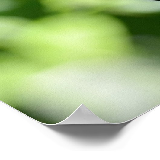 藤泉 ポスター (角)