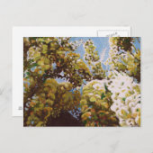 藤2011年にの上 ポストカード (正面/裏面)