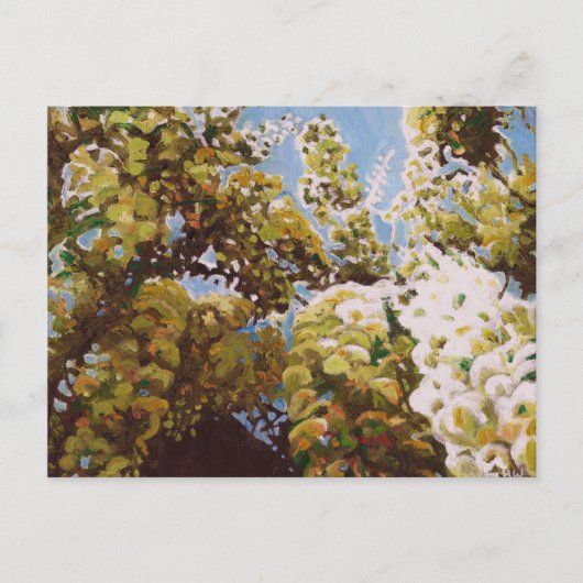 藤2011年にの上 ポストカード (正面)