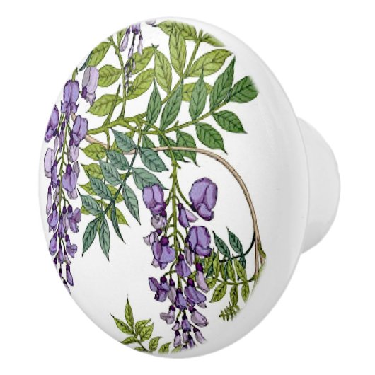 藤 セラミックノブ (右)