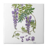 藤 タイル (正面)