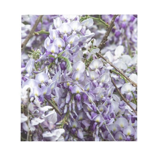 藤 ノートパッド (正面)