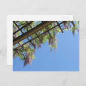 藤:日本 ポストカード (正面/裏面)