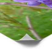 「藤」。..聖なる書物、 経典プリント ポスター (角)