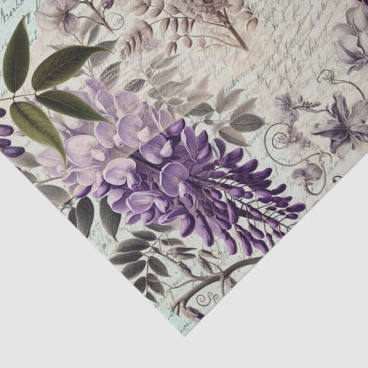 藤 薄葉紙 (詳細)