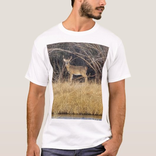 藪の中の鹿Tシャツ Tシャツ (正面)