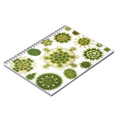 藻のノート ノートブック (左側)