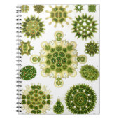 藻のノート ノートブック (正面)