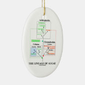 藻の進化生物学の血統 セラミックオーナメント (右)