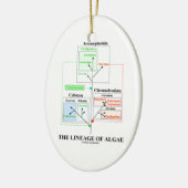 藻の進化生物学の血統 セラミックオーナメント (左)