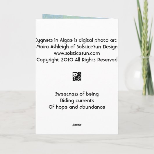 藻の3匹のCygnets カード (裏面)