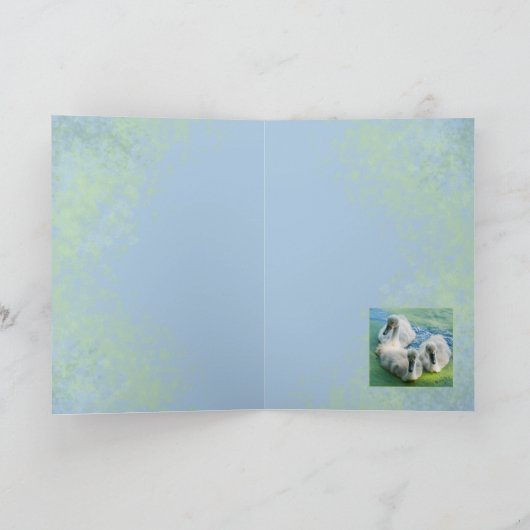 藻の3匹のCygnets カード (内部)