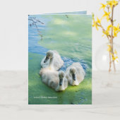 藻の3匹のCygnets カード (黄色い花)