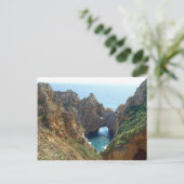 藻類の海岸 ポストカード (スタンド正面)