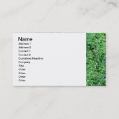 藻類の緑の背景 – パーソナライズされた名刺 名刺 (裏面)