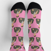 藻類 ソックス (上部)