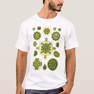 藻 Tシャツ