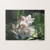 蘭が咲く春パズル ジグソーパズル (横)