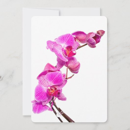 蘭との50と素晴らしい誕生日の招待 招待状 (裏面)