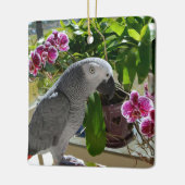 蘭とアフリカの灰色のオウム セラミックオーナメント (左)