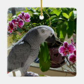 蘭とアフリカの灰色のオウム セラミックオーナメント (裏面)