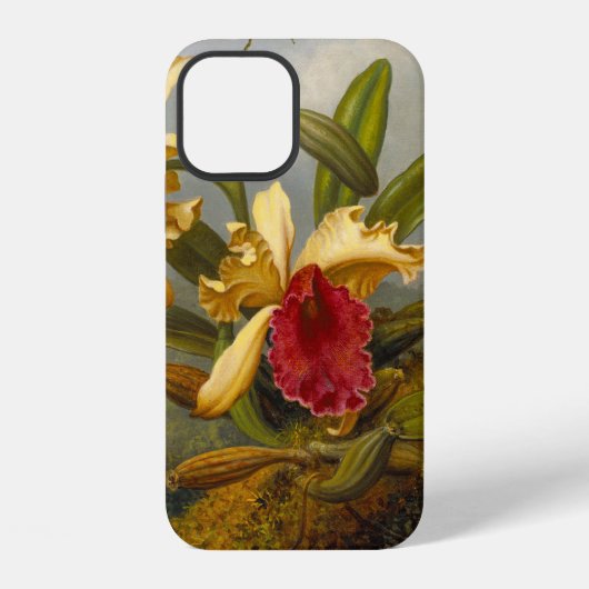 蘭とハチドリ ヘッド iPhoneケース (裏面)