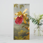 蘭とハミングバードヘードカード (スタンド正面)