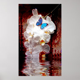 蘭と蝶のプリント ポスター