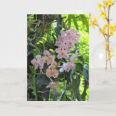 蘭のグリーティングカード カード (黄色い花)