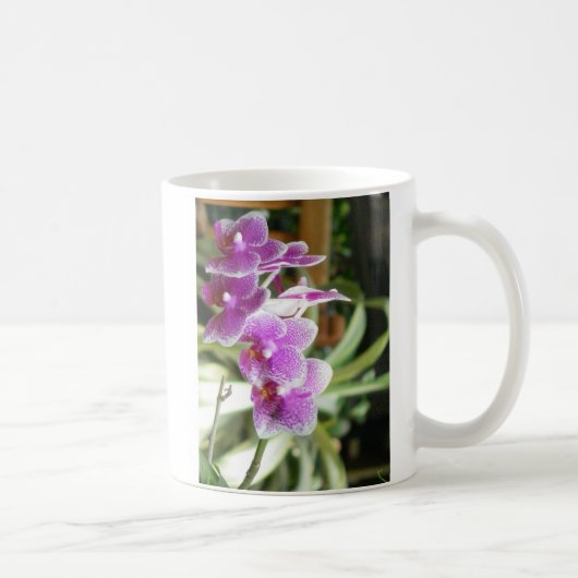 蘭のコーヒー・マグの花 コーヒーマグカップ (右)
