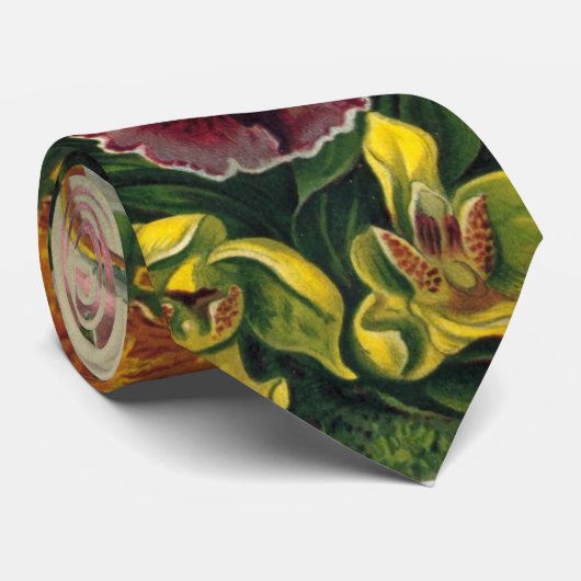 蘭のタイ ネクタイ (ロール)