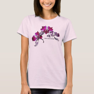 蘭のピンク Tシャツ