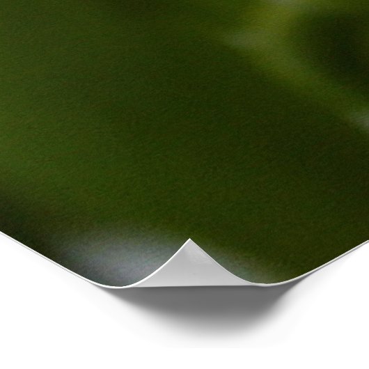 蘭のポスター ポスター (角)