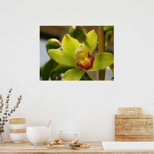 蘭のポスター ポスター (キッチン)