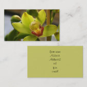 蘭の名刺 名刺 (正面/裏面)