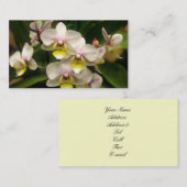 蘭の名刺 名刺 (正面/裏面)