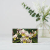 蘭の名刺 名刺 (スタンド正面)