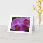 蘭の完全さ カード (黄色い花)