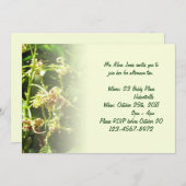 蘭の招待状 招待状 (正面/裏面)