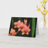 蘭の挨拶状 カード (黄色い花)