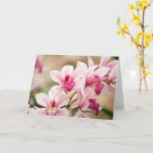 蘭の挨拶状 カード (黄色い花)