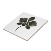 蘭の線画 - インクの花のデザインを タイル (側面)