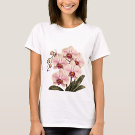 蘭の花が咲くTシャツ Tシャツ