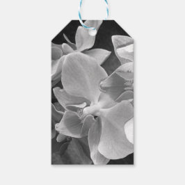 蘭の花が灰色で咲き乱れる ギフトタグ