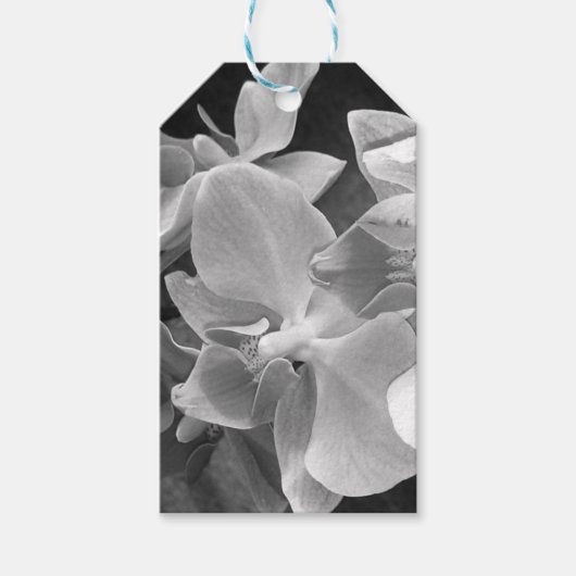 蘭の花が灰色で咲き乱れる ギフトタグ (正面)