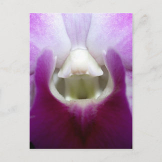 蘭の花が閉まっている ポストカード
