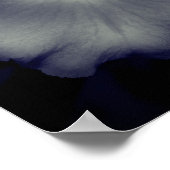 蘭の花が黒と白をクローズアップ ポスター (角)