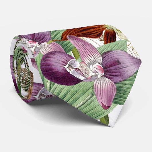 蘭の花のヤシの木の熱帯島のタイ ネクタイ (ロール)