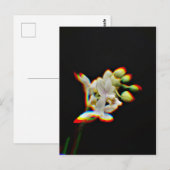 蘭の花の光る効果 ポストカード (正面/裏面)