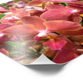 蘭の花の写真 フォトプリント            (角)